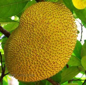 僵尸刑警 产品图片