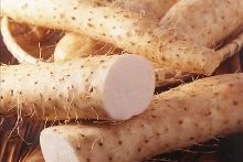 俄国新娘 产品图片