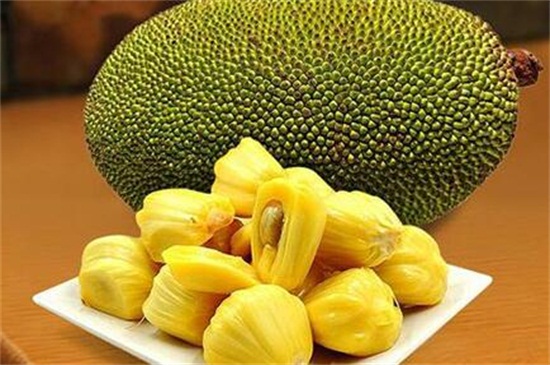 从暗处来 推荐视频