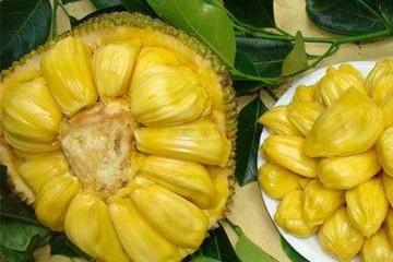 圣维克多镇的公鸡 推荐视频