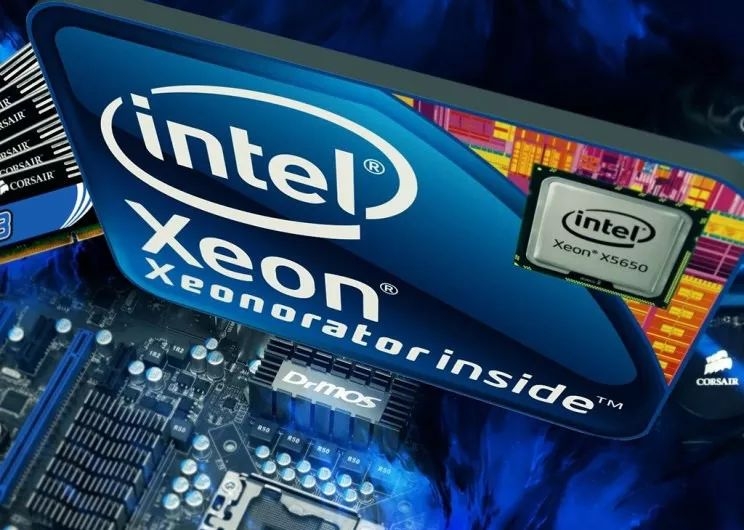 保姆之死 推荐视频