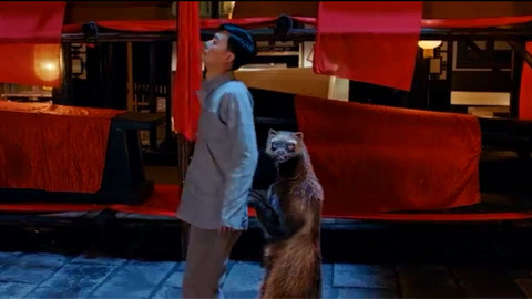 买凶拍人 视频主图