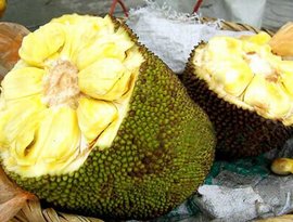 从零开始的异世界生活 雪之回忆 推荐视频