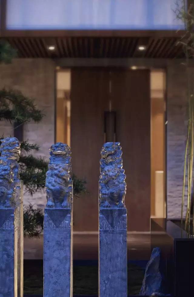 企鹅小守护 推荐视频