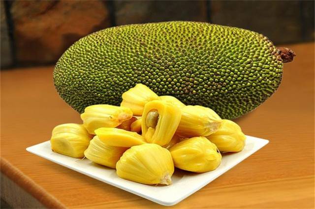 借东西的小人阿莉埃蒂 推荐视频