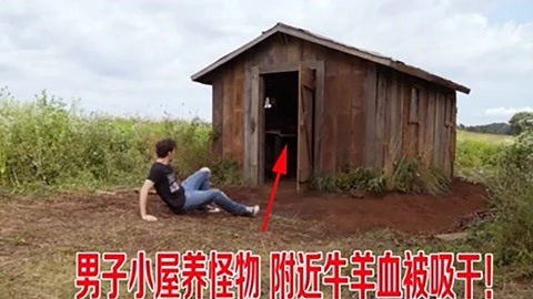 危机：龙潭之战 产品图片