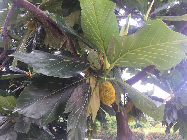 坠入深渊 推荐视频