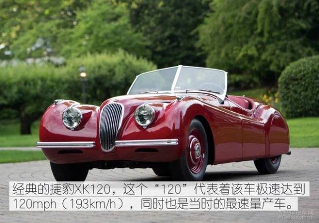 儿娃子 推荐视频