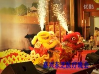 借命人 推荐视频