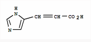 伊丽莎白镇 推荐视频