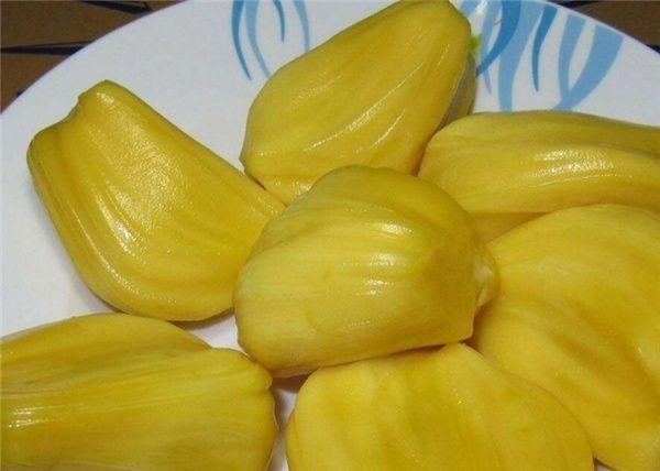 仙境之桥 推荐视频