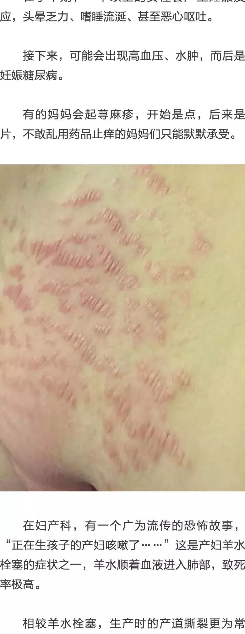 伊核协议 产品图片