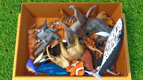 味道男女 产品图片