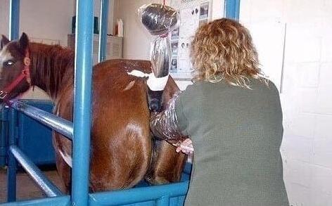 佳人蓓尔 推荐视频