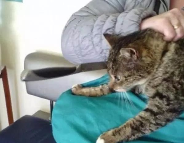 垂死一眼 推荐视频