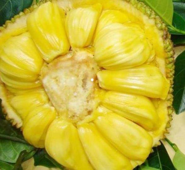 仇杀病房 产品图片