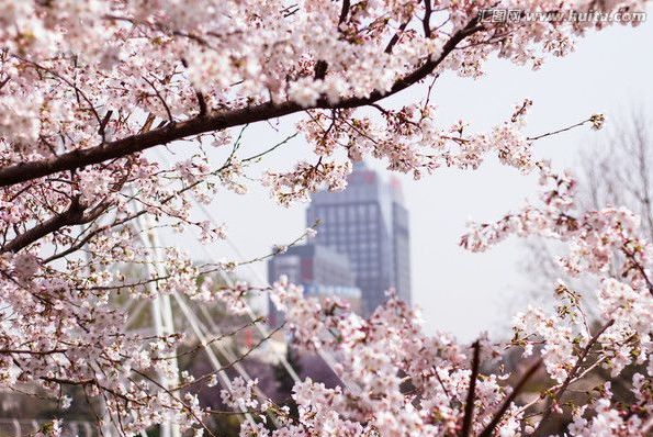 叛逆者 推荐视频