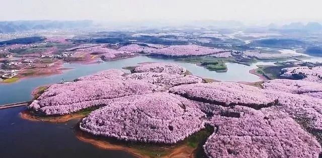 坑蒙拐骗外星人 推荐视频