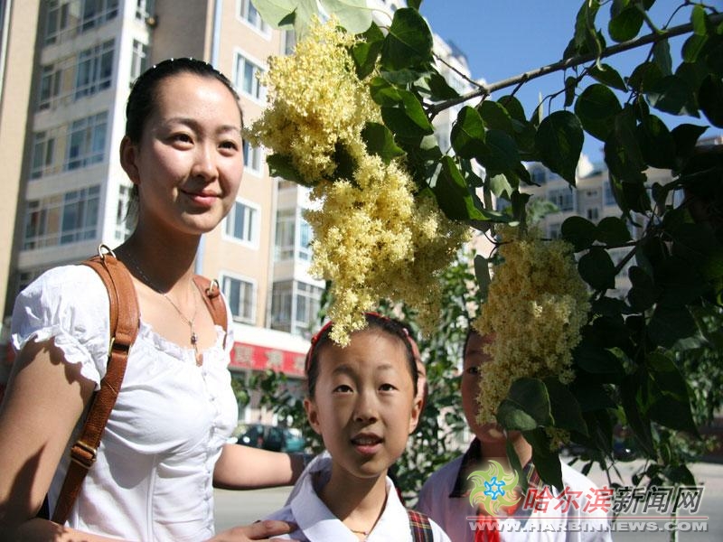 体外实验 推荐视频