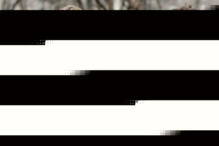 上错天堂投错胎 视频主图