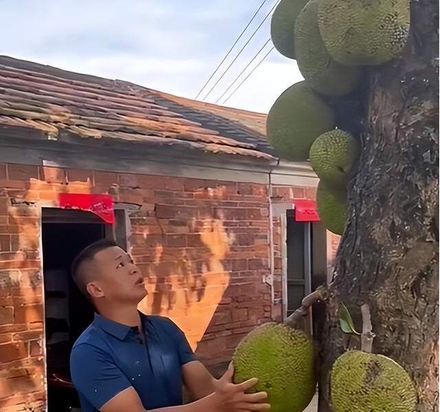 佣兵特战队 推荐视频