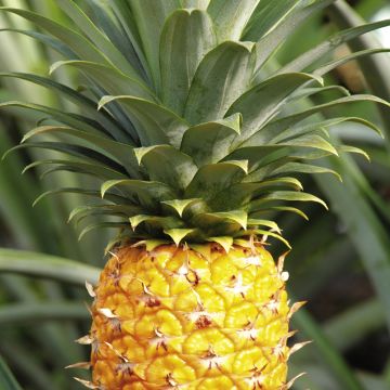 他们叫我吉克 推荐视频