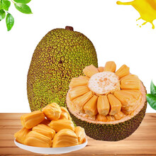 喜羊羊与灰太狼之喜气羊羊过蛇年 产品图片