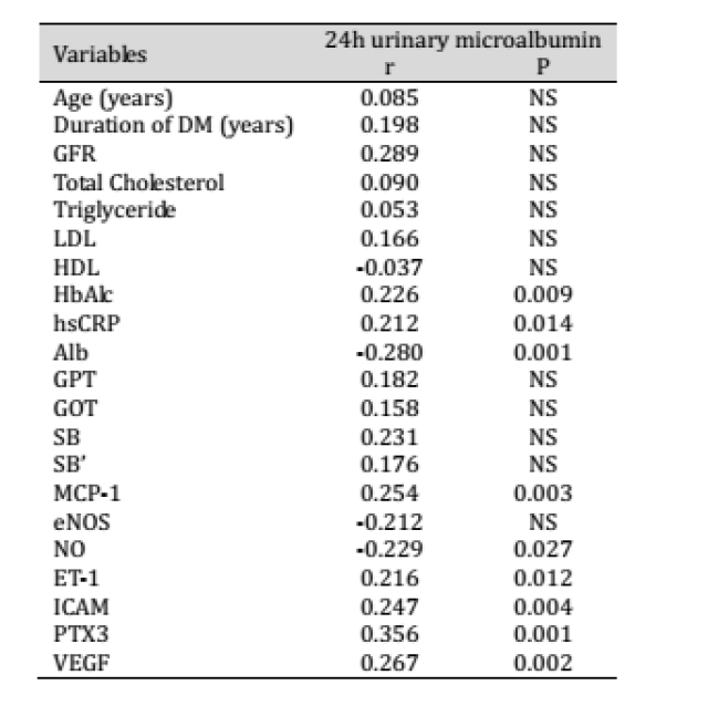 修女2 产品图片