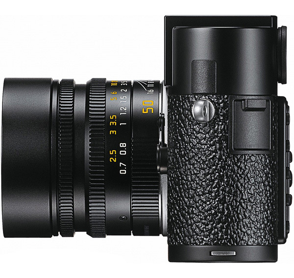 假证人 推荐视频