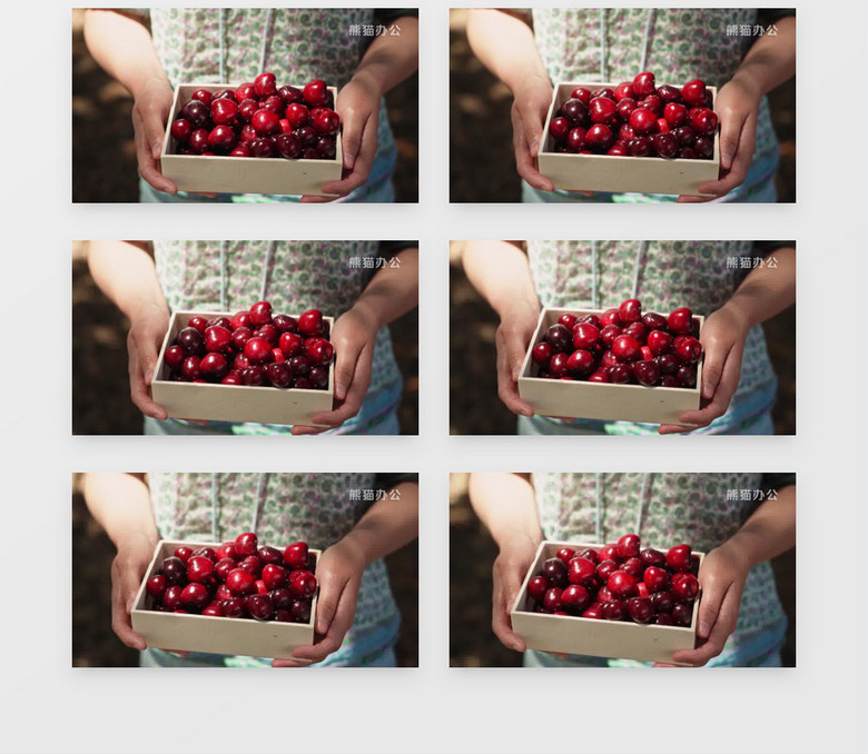 保镖 完结篇2010 推荐视频