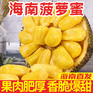 僵局救援 产品图片