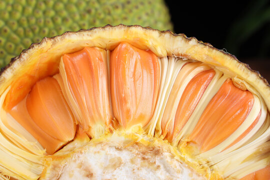 你的世界如果没有我 推荐视频