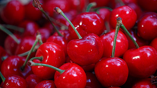 吉伯特拒蛋行动 推荐视频