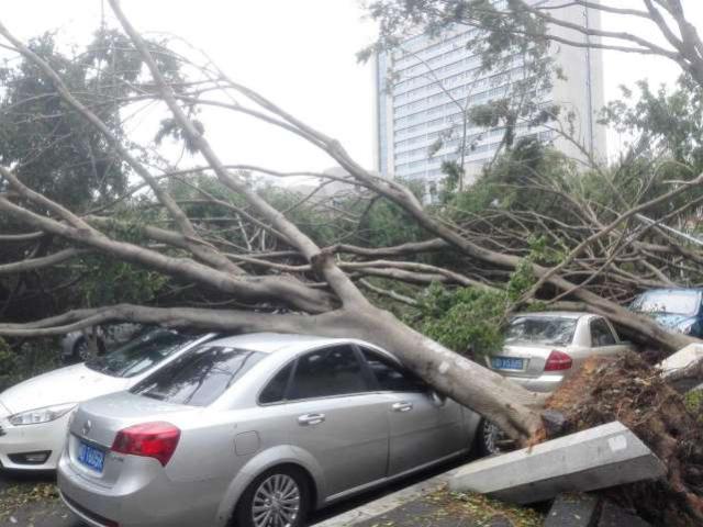 夜半凶铃 产品图片