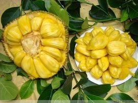 僵尸小屁孩 推荐视频