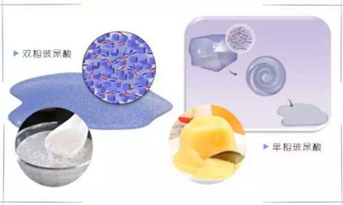 你是我兄弟之牌王 推荐视频