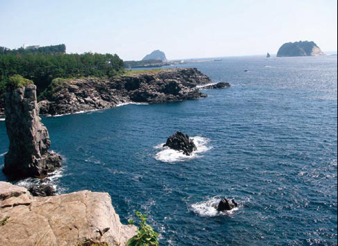 侬本痴情 推荐视频