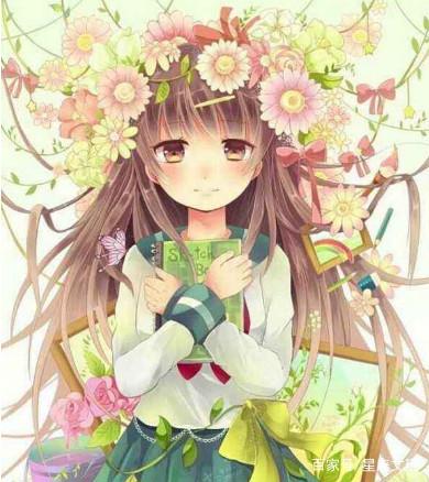 伯斯特的心 产品图片