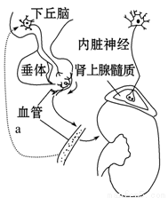 夜叉之无间有情