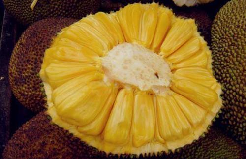 侠士行 产品图片