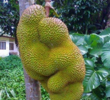 何必有我？ 产品图片