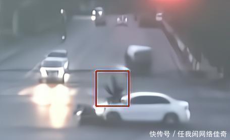 农场小牛牛：偷拍风波 推荐视频