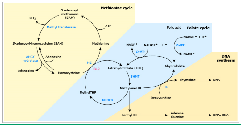 伊兹大闹洛杉矶 推荐视频