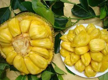 债途囧事 推荐视频