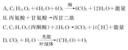 债途囧事 产品图片