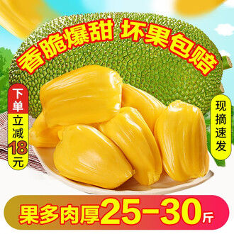 仲夏夜魔法 推荐视频