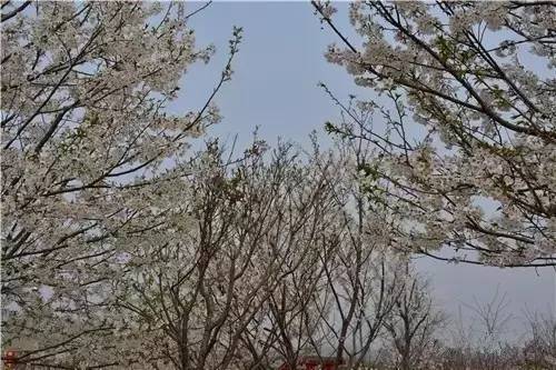 冤情必报 推荐视频