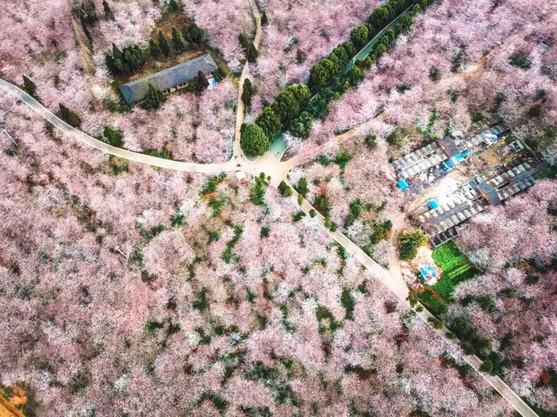 借刀杀人 推荐视频