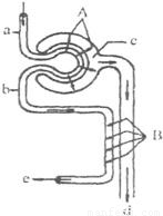 你也不美丽 推荐视频