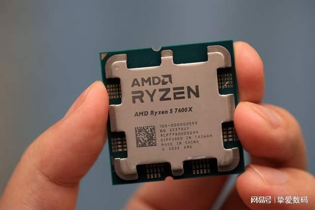 僵尸皇帝 产品图片